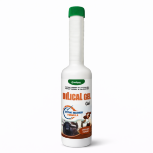 DILICAL Gel Energy Gel Chocolate Flavour | Instant Energy & Calcium Liquid | Long Neck Bottle | for Cattle, Buffalo, Goat & Livestock