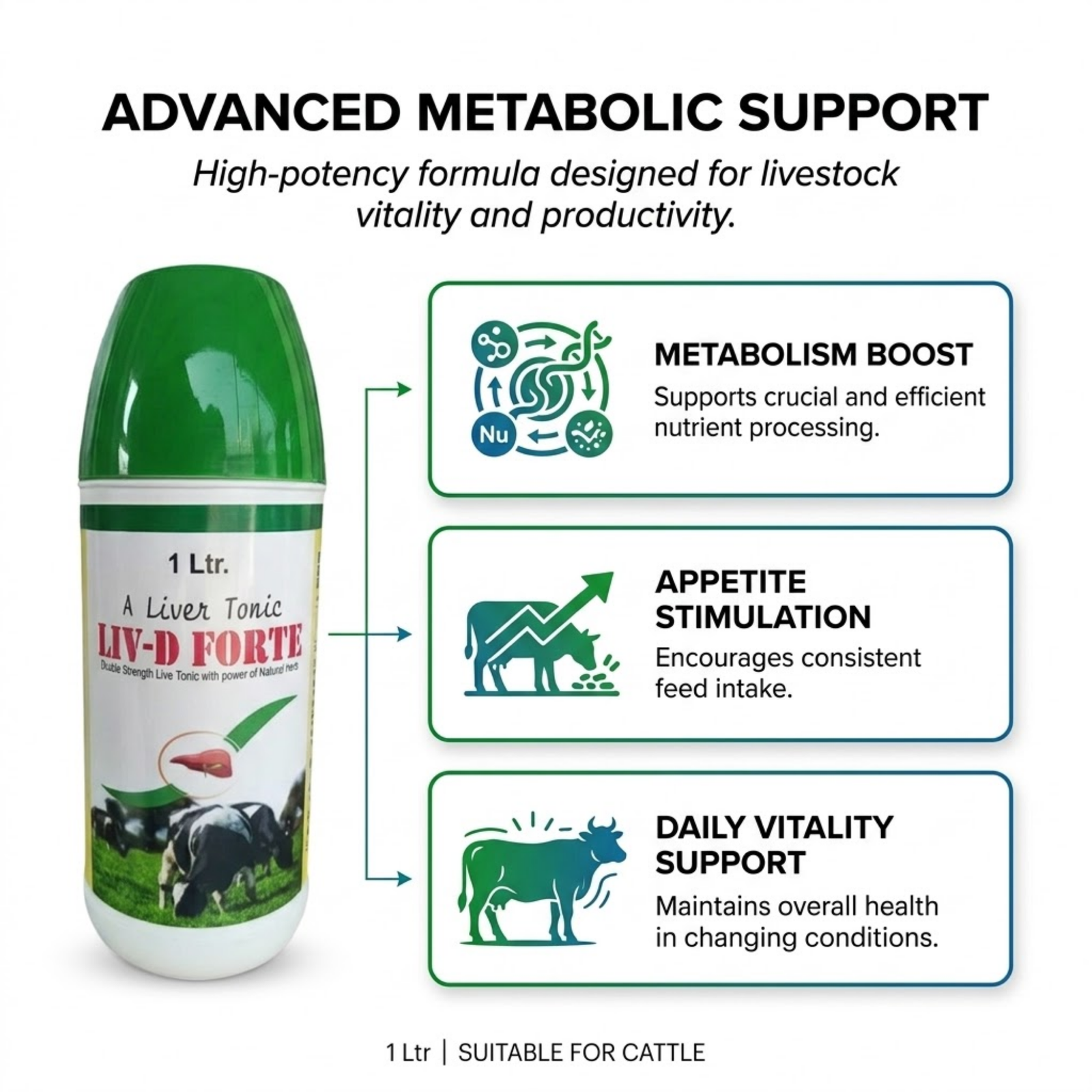 LIV D Forte Liver Tonic for Pets | Herbal Liver Supplement for Appetite & Digestion Support | Detox Formula for Dogs, Cats, Puppies & Kittens - Image 2