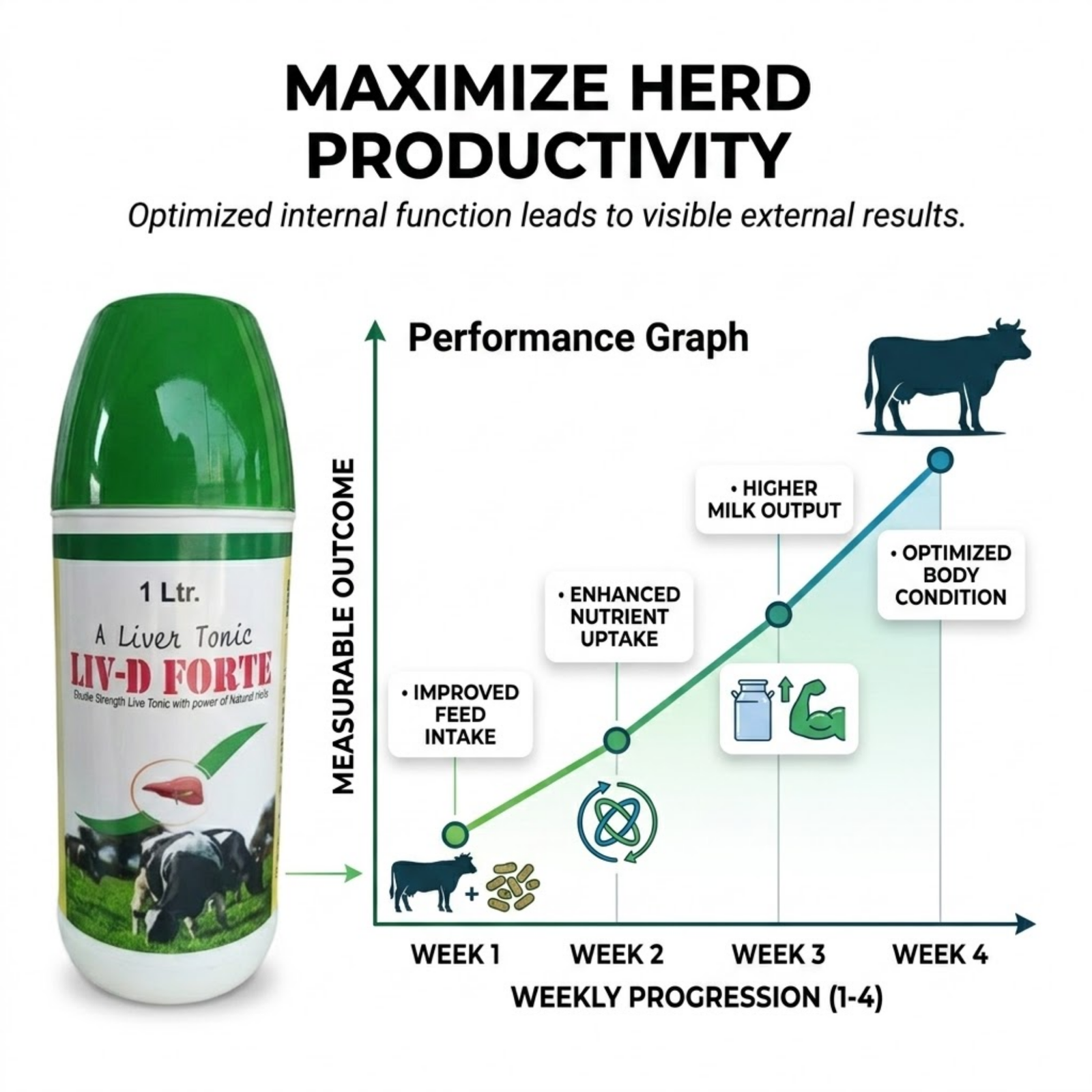 LIV D Forte Liver Tonic for Pets | Herbal Liver Supplement for Appetite & Digestion Support | Detox Formula for Dogs, Cats, Puppies & Kittens - Image 3