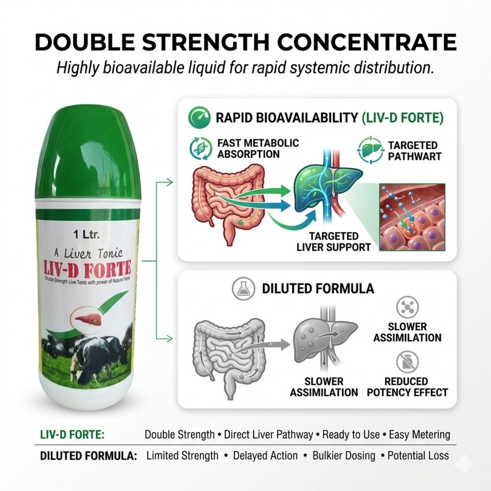 LIV D Forte Liver Tonic for Pets | Herbal Liver Supplement for Appetite & Digestion Support | Detox Formula for Dogs, Cats, Puppies & Kittens - Image 4