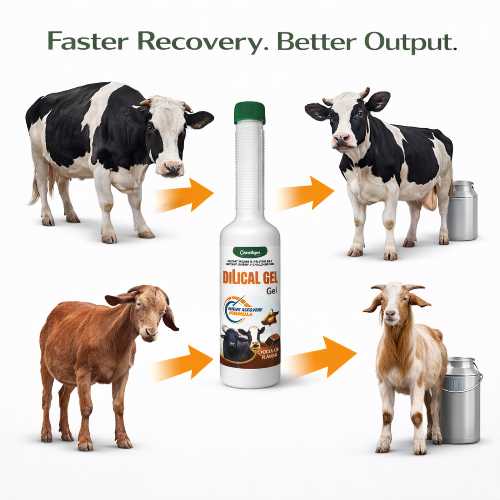 DILICAL Gel Energy Gel Chocolate Flavour | Instant Energy & Calcium Liquid | Long Neck Bottle | for Cattle, Buffalo, Goat & Livestock - Image 3