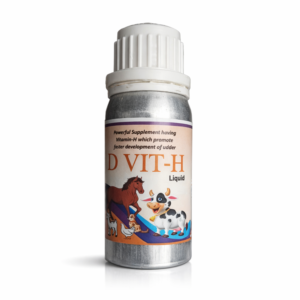 D-VIT H Vitamin Supplement for Pets | Biotin Vitamin H Syrup for Healthy Skin, Shiny Coat & Strong Nails | for Dogs, Cats, Puppies & Kittens