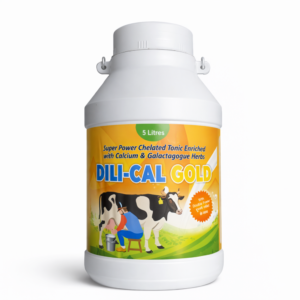 DILICAL Gold Calcium Supplement | Boosts Milk Yield, Bone Strength & Immunity | for Cattle, Buffalo, Goat & Livestock
