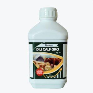 DILI Calf Gro Liquid | Calf Growth & Health Tonic | Supports Immunity, Digestion & Weight Gain for Calves